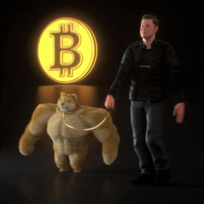Walking the Doge #5