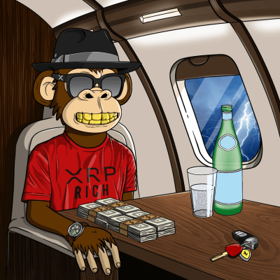 Private Jet Ape #379