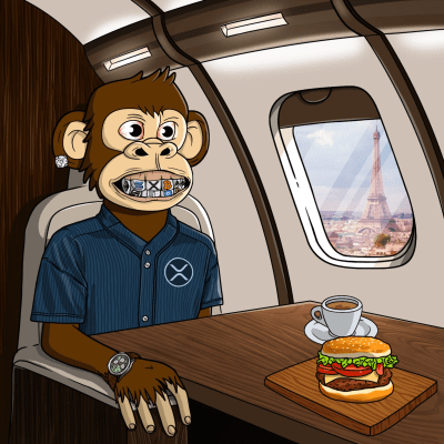 Private Jet Ape #480