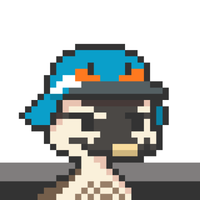Duck #6458