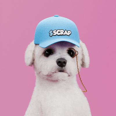 Scrappy #34