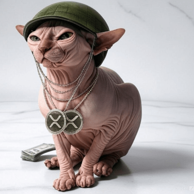 Crypto Bitlord