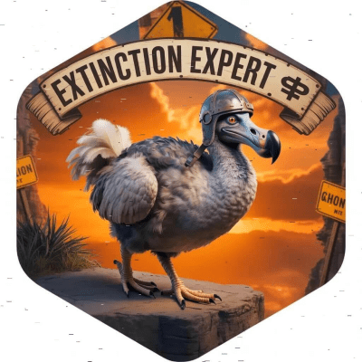 Exhibición de usuario