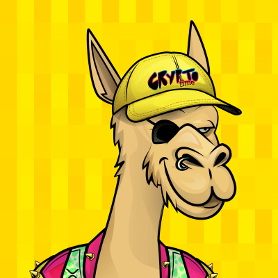 crypto camels #8