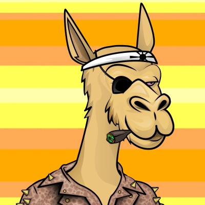 crypto camels #663