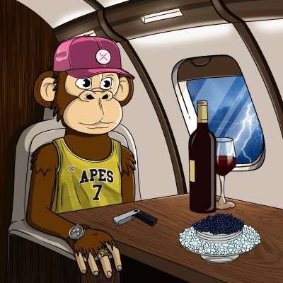 Private Jet Ape #418