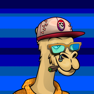 crypto camels #1130