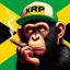 Stupid XRP Ape 66