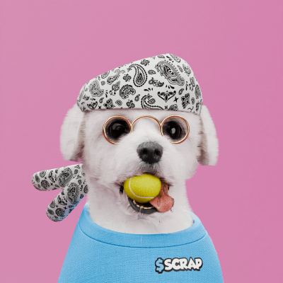 Scrappy #551