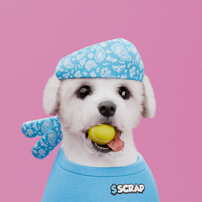 Scrappy #520