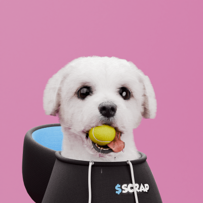 Scrappy #124