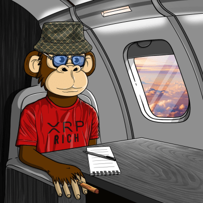 Private Jet Ape #112