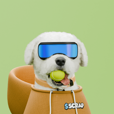 Scrappy #357