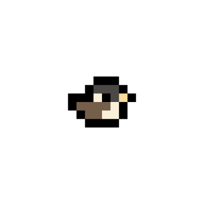 Spot-billed-Duck