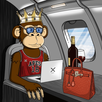 Private Jet Ape #307