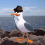 Jetty Seagull
