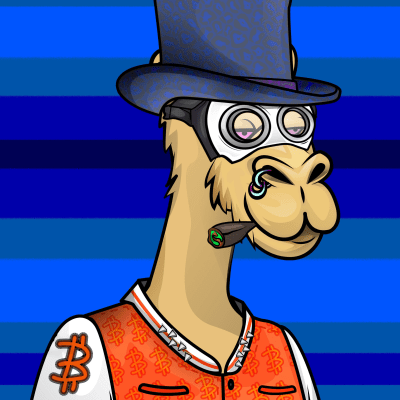 crypto camels #288