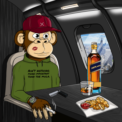 Private Jet Ape #55