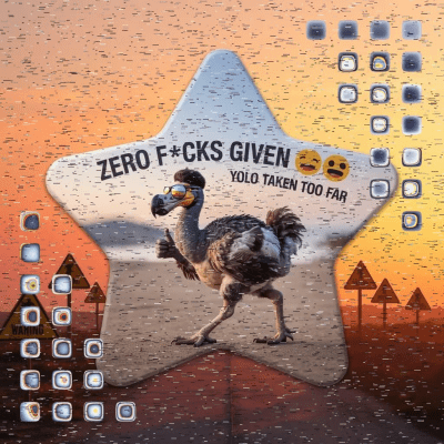 User showcase