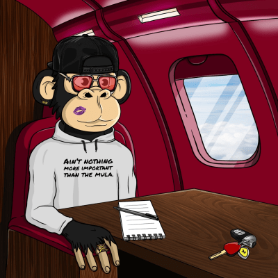 Private Jet Ape #155