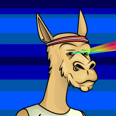 crypto camels #863