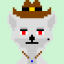 Fox #542