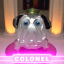 Colonel #45