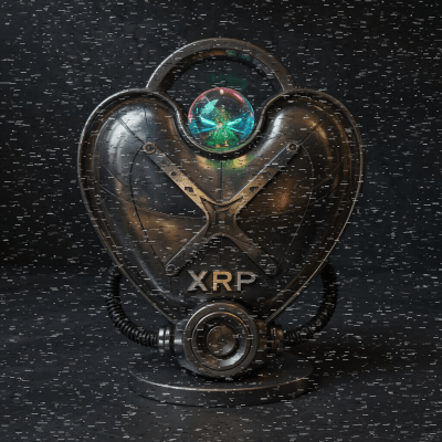 Exhibición de usuario