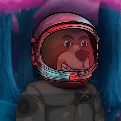 Sologenic Bear #204