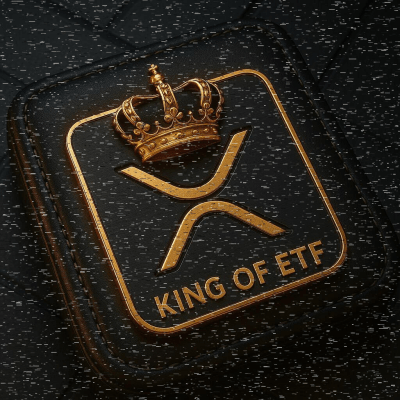 ユーザーショーケース