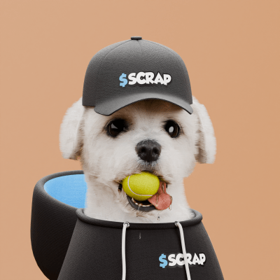 Scrappy #451