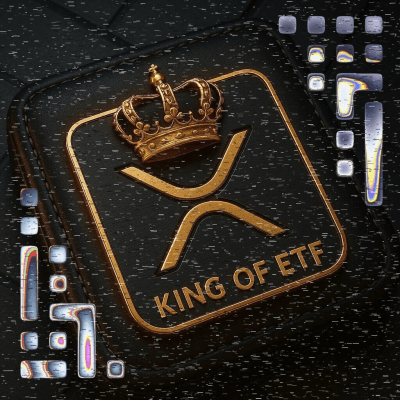 사용자 쇼케이스