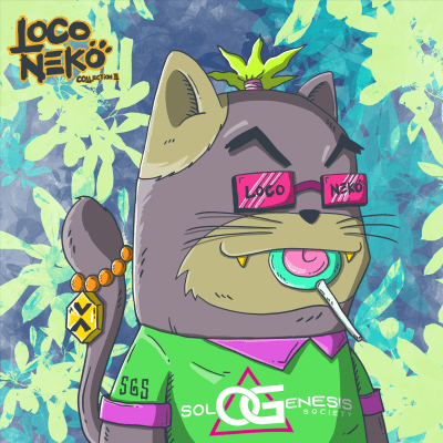 SGS Hippy Neko