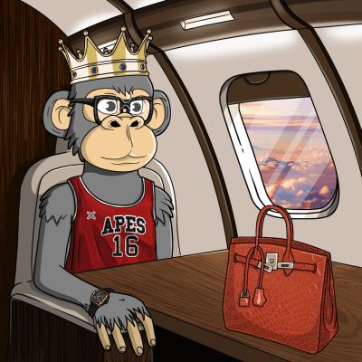 Private Jet Ape #508